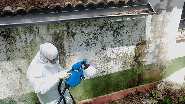 Top rated local Mold Remediation specialists in Sparta, NC